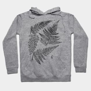 Botanical Scientific Illustration Black and White Fern Hoodie